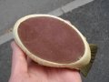 СТАРА ФИГУРА ПТИЦА, снимка 7