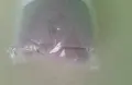 Чаршаф с ластик, снимка 3