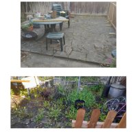 Озеленяване почистване  поддръжка на дворове и градини, снимка 4 - Други почистващи услуги - 44399933