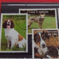 Пощенски марки чиста комплектна серия ЖИВОТНИ Кучета 1995г. за колекционери - 22031, снимка 2 - Филателия - 36641550