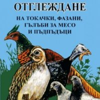 Отглеждане на токачки, фазани, гълъби за месо и пъдпъдъци, снимка 1 - Специализирана литература - 17282864