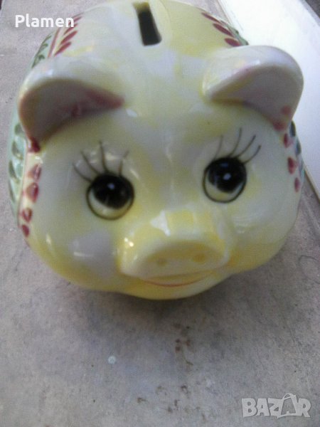 Касичка прасенце, снимка 1