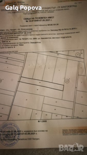 Нива от 3,565дка, снимка 1