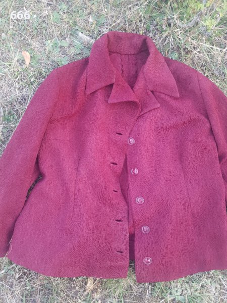 Сако и пола, снимка 1