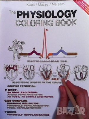 The Physiology Coloring Book Elson Kapit, снимка 1