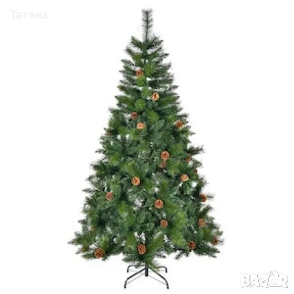 Елха със шишарки, снимка 1