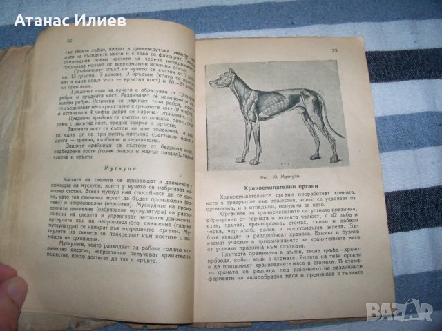 "Ловни кучета" от д-р Алекси Борисов, издание 1949г., снимка 7 - Специализирана литература - 40465990