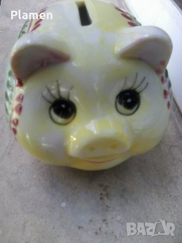 Касичка прасенце, снимка 1