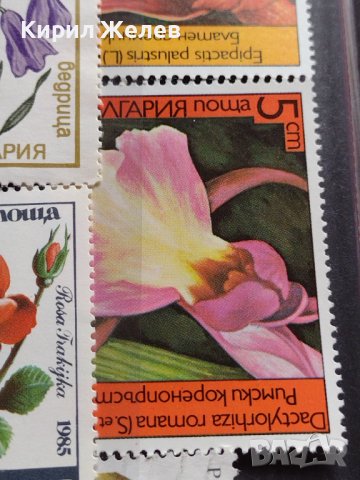 Пощенски марки серия ЦВЕТЯ поща България, Югославия редки за КОЛЕКЦИЯ 22659, снимка 10 - Филателия - 40316538