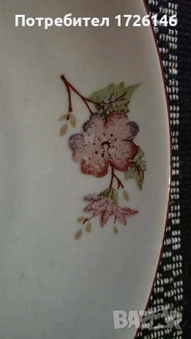 Порцеланова чиния на Дянко Стефанов , снимка 2 - Чинии - 54351809