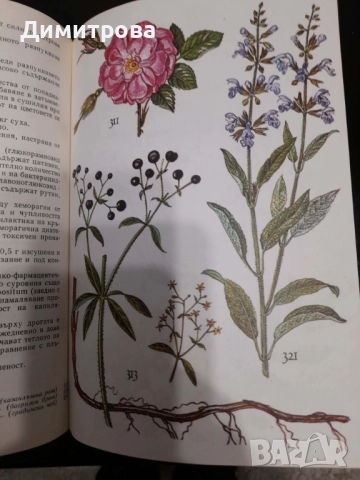Книги Нашите лекарствени растения д-р Нено Стоянов част 1 и 2, снимка 3 - Енциклопедии, справочници - 52765450