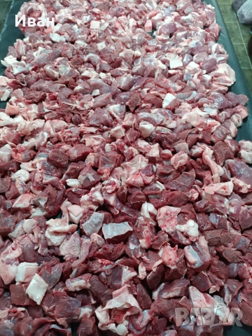 професионална месомелачка 12, снимка 9 - Друго търговско оборудване - 53267129