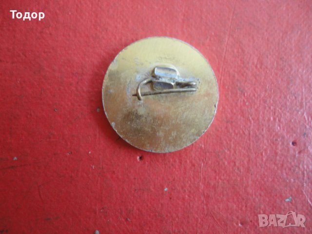 Значка знак Илинденско Преображенско въстание , снимка 5 - Колекции - 42202909