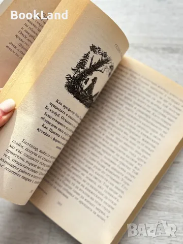 Лешникотрошачката и други приказки, Хофман. Майстори на приказката , снимка 7 - Детски книжки - 49267392