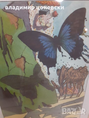 Оригинална литография на Салвадор Дали,стара картина,графика, снимка 3 - Картини - 38408465