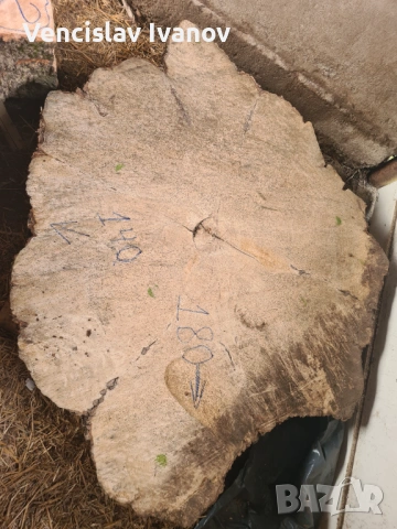 Шайба от Ясен