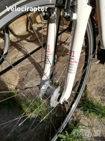 Електрически велосипед Winora Sinus B2 BOSCH , снимка 7 - Велосипеди - 52091783