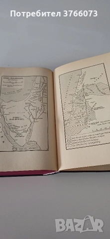 ,,Die Bibel " Мартин Лутер, снимка 7 - Антикварни и старинни предмети - 54233221