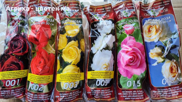 РОЗИ корени от лицензиран разсадник в Градински цветя и растения в гр.  Исперих - ID42675882 — Bazar.bg