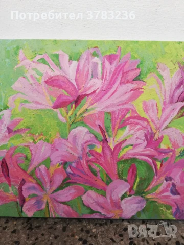 картини с маслени бои, снимка 5 - Картини - 51357899