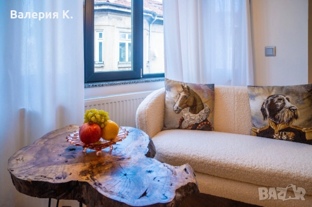 Едностаен апартамент в Центъра на София, снимка 2 - Апартаменти - 52662454