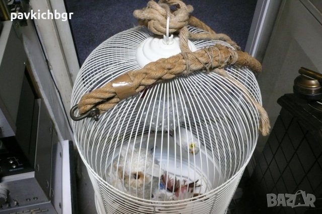 Кафез за папагал или друг вид птици