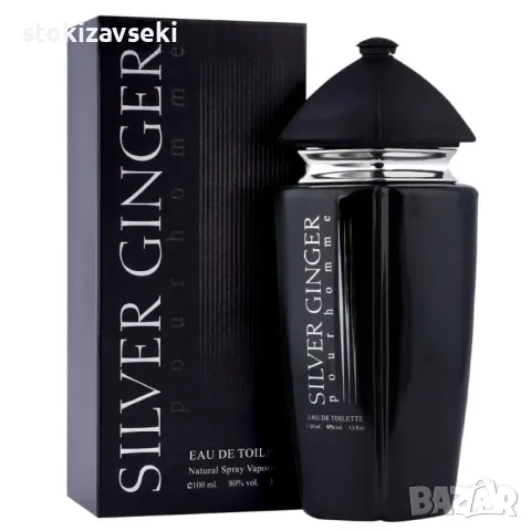 Парфюм Silver Ginger by BN, Unisex, Eau de toilette 100ml, снимка 1