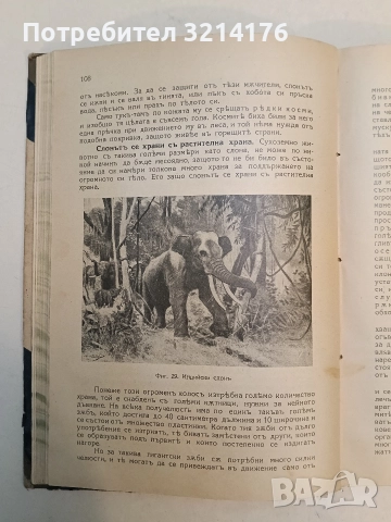 Животнитѣ от биологично гледище - Борис Митов (1935, Луксозна изработка, Отлично състояние), снимка 8 - Специализирана литература - 52773226