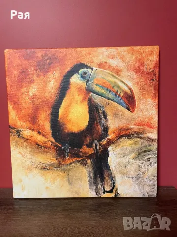 Картина с птица Тукан на Michael Tarin, снимка 3 - Други стоки за дома - 48669207