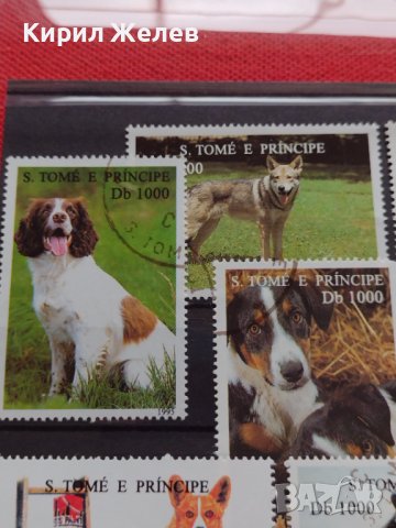 Пощенски марки чиста комплектна серия ЖИВОТНИ Кучета 1995г. за колекционери - 22031, снимка 2 - Филателия - 36641550