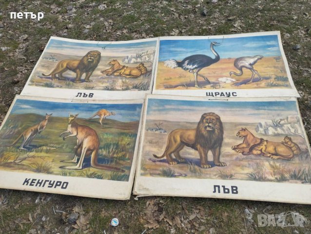 Стари учебни пана, снимка 1