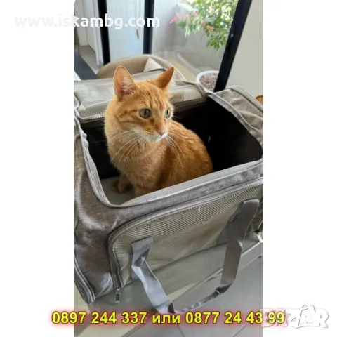 Транспортна чанта с дишаща мрежа за животни - КОД 4325, снимка 17 - Други стоки за животни - 49872204