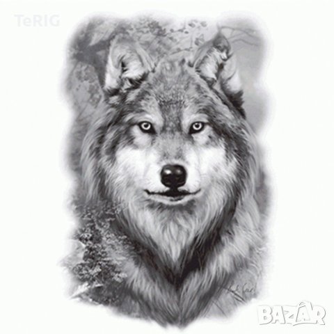 вълк соларна тениска, снимка 3 - Тениски - 37325472