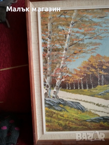Картина с масло, подписана без забележки, снимка 3 - Картини - 54217415