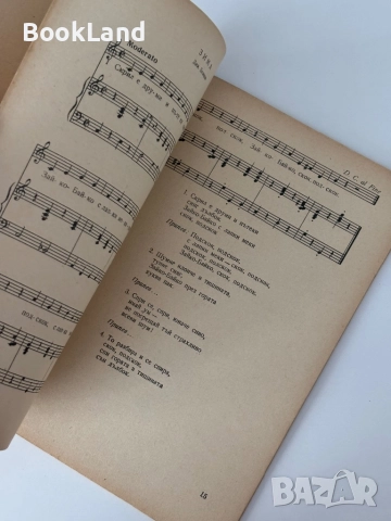 Щурче свирче народни песни за деца и Детски песни за предучилищна възраст , снимка 13 - Детски книжки - 51998075