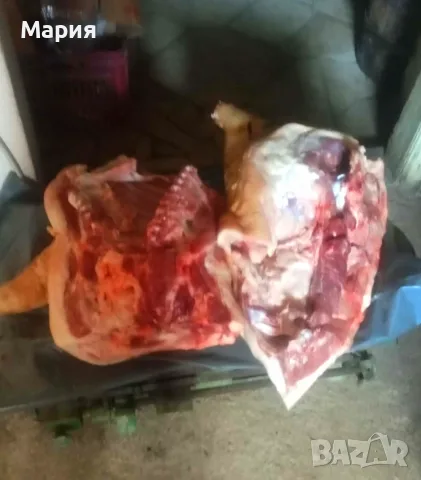 Прясно свинско ., снимка 5 - Домашни продукти - 56090045