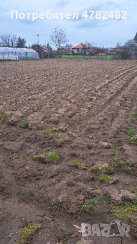 Продавам дворно място в с. Скутаре