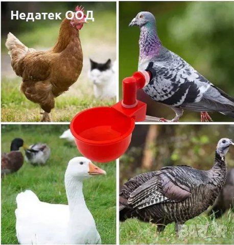 Автомотични поилки за птици