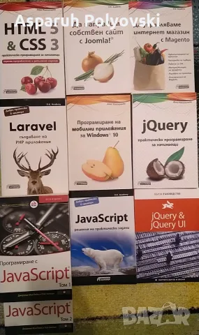IT книги, Програмиране, Бази данни, Linux, Java, Python, C++, Бизнес, Личностно р. – от 1 €, снимка 7 - Специализирана литература - 56169220