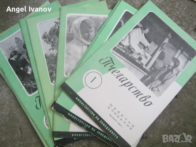 Стари списания пчеларство, снимка 12 - Списания и комикси - 52157363