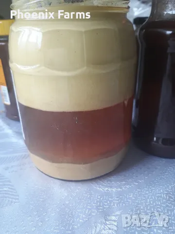 Боров прашец суров веган , снимка 2 - Хранителни добавки - 49841645