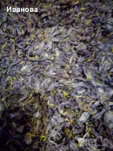 Шафран със сертификат, снимка 2 - Домашни продукти - 31029990