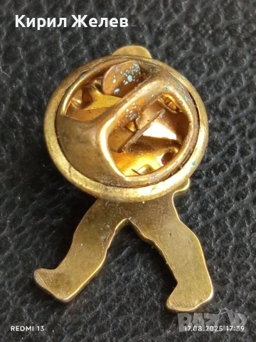 Рядка значка много красива интересна стара за КОЛЕКЦИЯ ДЕКОРАЦИЯ 35129, снимка 5 - Колекции - 51394296