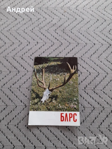 Календарче Блрс 1981 #2