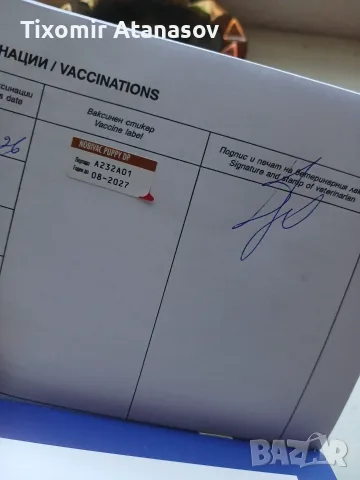 Пинчер.         ., снимка 4 - Патици и гъски - 55968279