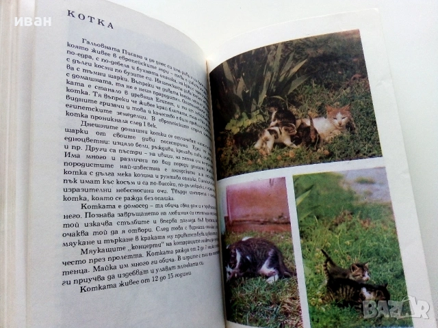 Албум за растения и животни - Н.Боев,С.Петров,П.Кръстев - 1976г., снимка 4 - Енциклопедии, справочници - 53185115