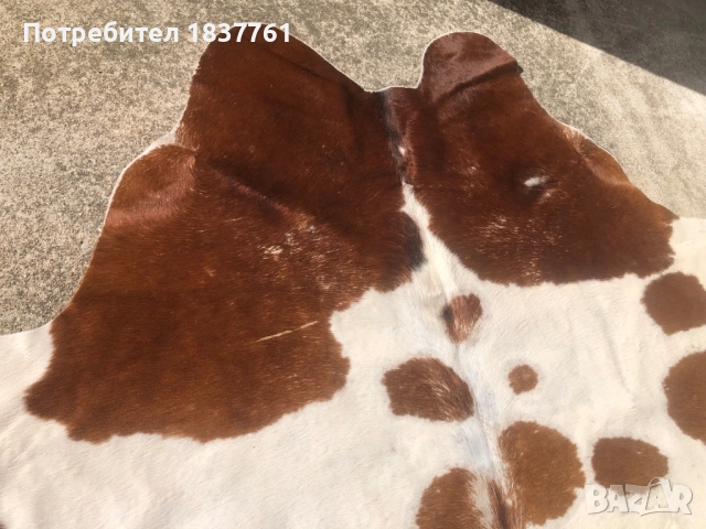 Телешка кожа , снимка 6 - Други стоки за дома - 52242953