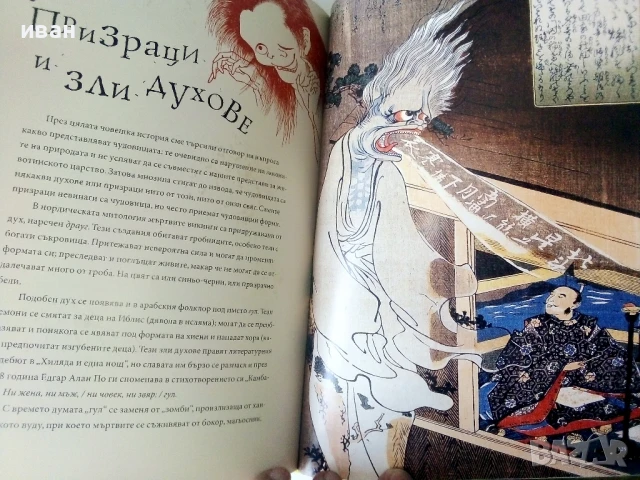 Чудовища - Галерия от страхотии и чудатости - Кристофър Дел - 2010г., снимка 3 - Детски книжки - 50697573