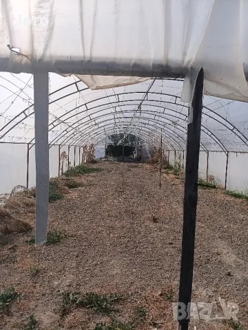 Ферми-оранжерии два размера, снимка 2 - Оранжерии - 49968385