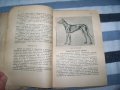 "Ловни кучета" от д-р Алекси Борисов, издание 1949г., снимка 7